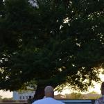 OTRA2014CN_0114 (August 25, 2014)